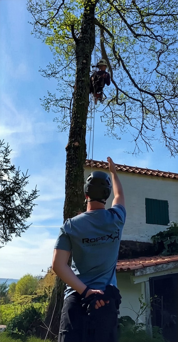 Fundadores da RopeX