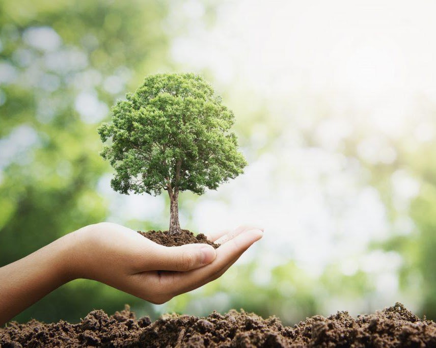 Compromisso ambiental e responsabilidade