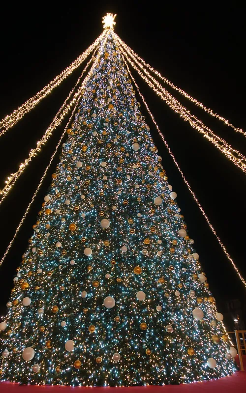Pinheiro de Natal de grande porte em Braga, coberto de luzes e bolas, com fios de luz a descer do topo