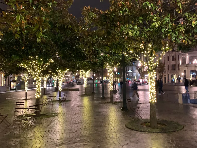 Árvores de uma praça do Porto com os troncos e os ramos envolvidos em fios de luz quente, numa noite de chuva